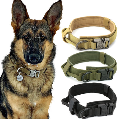 Dog Collar - Limitless Deals Shop